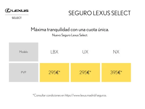 Lexus UX 300e Executive