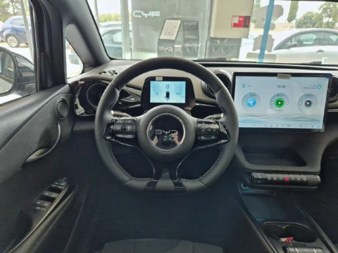 BYD DOLPHIN SURF Comfort