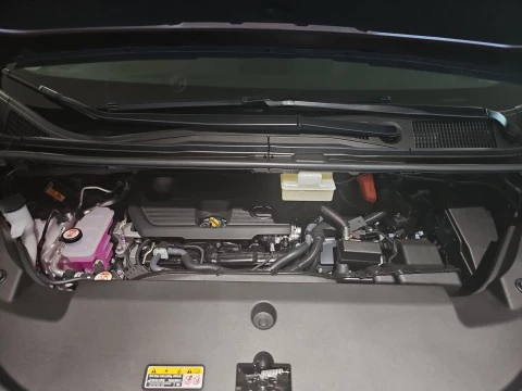 Lexus LM 350h Luxury Light Beige 6 plazas