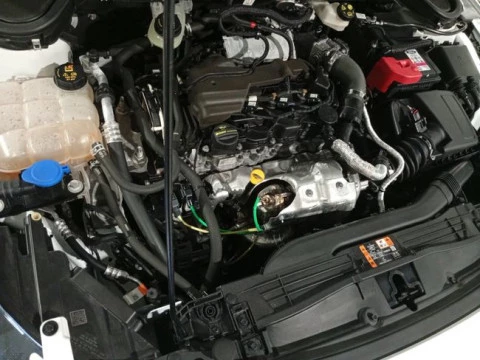 Ford Focus 1.5 Ecoblue 88kW Trend+ Auto SB