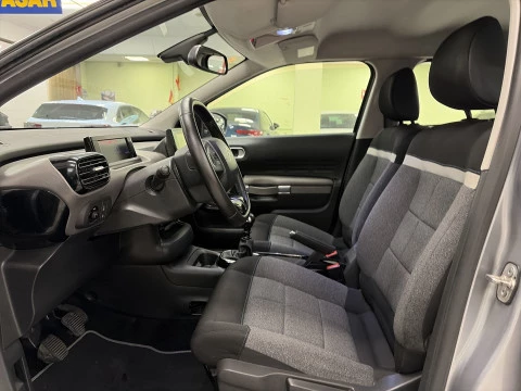 Citroën C4 Cactus BlueHDi 100 SANDS Feel 75 kW (102 CV)