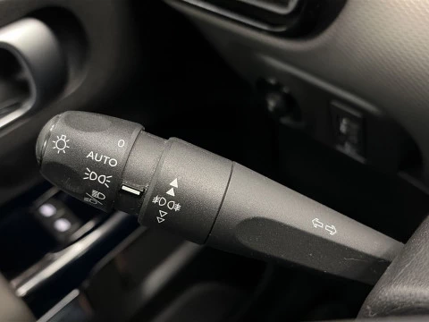 Citroën C4 Cactus BlueHDi 100 SANDS Feel 75 kW (102 CV)