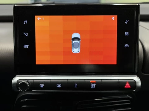 Citroën C4 Cactus BlueHDi 100 SANDS Feel 75 kW (102 CV)