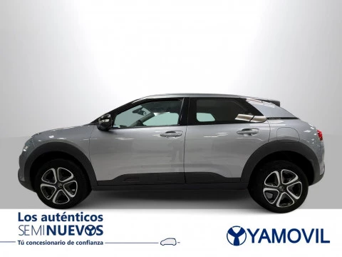 Citroën C4 Cactus BlueHDi 100 SANDS Feel 75 kW (102 CV)