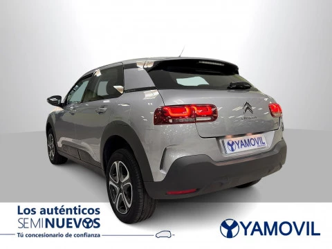 Citroën C4 Cactus BlueHDi 100 SANDS Feel 75 kW (102 CV)