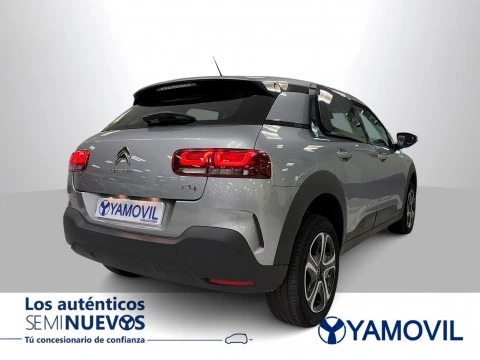 Citroën C4 Cactus BlueHDi 100 SANDS Feel 75 kW (102 CV)