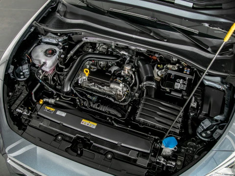 Seat Nuevo León 1.0 eTSI 81kW DSG-7 S&S FR 25 Aniv