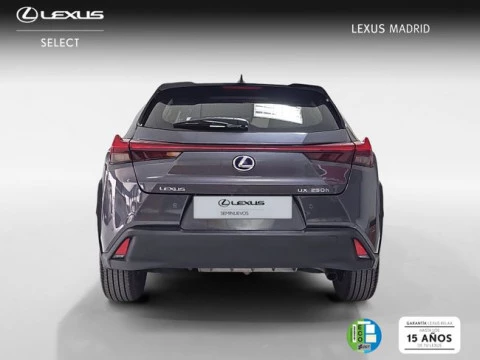 Lexus UX 2.0 250h Business