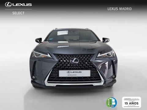 Lexus UX 2.0 250h Business
