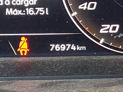 Seat Tarraco 2.0 TDI 110kW S&S Xcellence GO XL DSG