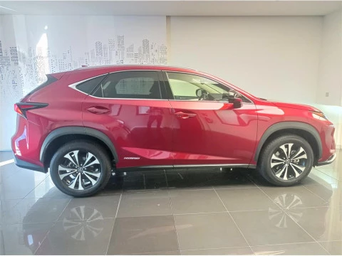 Lexus NX SUV PREMIUM 2WD 2.5 Híbrido Gasolina (197CV) Trans