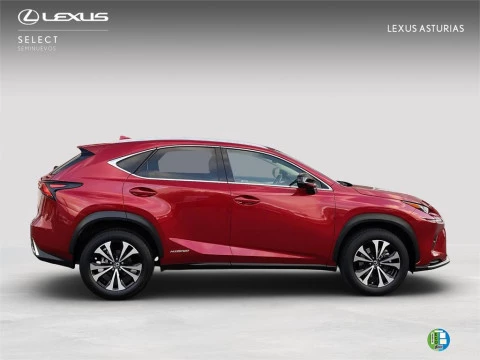 Lexus NX SUV PREMIUM 2WD 2.5 Híbrido Gasolina (197CV) Trans