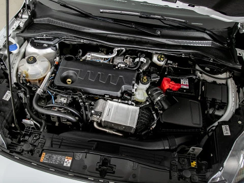 Ford Kuga ST-Line 2.0 EcoBlue 88kW (120CV) Auto