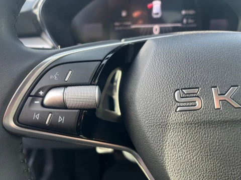 Skoda Fabia  Selection 1,0 MPI 59 kW (80 CV) Manual 5 vel.