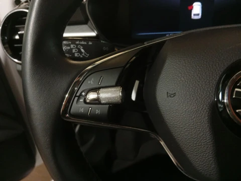 Skoda Fabia 1.0 TSI 70KW (95CV) SELECTION