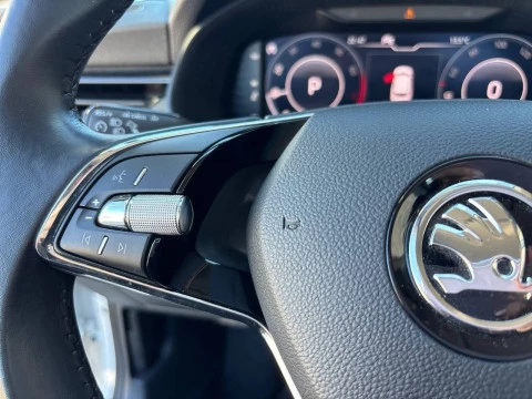 Skoda Kamiq 1.0 TSI 81kW (110CV) DSG Ambition