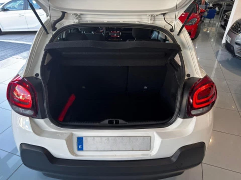 Citroën C3 BlueHDi 100 S&S C-Series