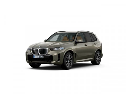 BMW X5 xDrive30d xLine 219 kW (298 CV)