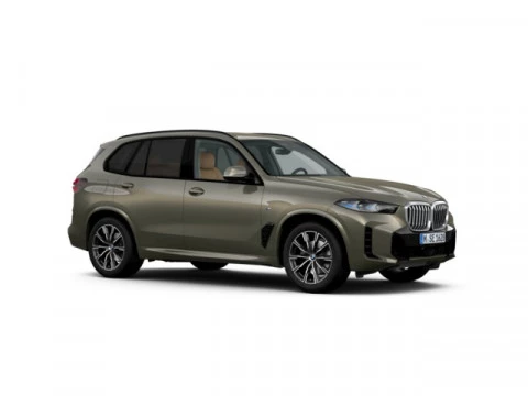 BMW X5 xDrive30d xLine 219 kW (298 CV)