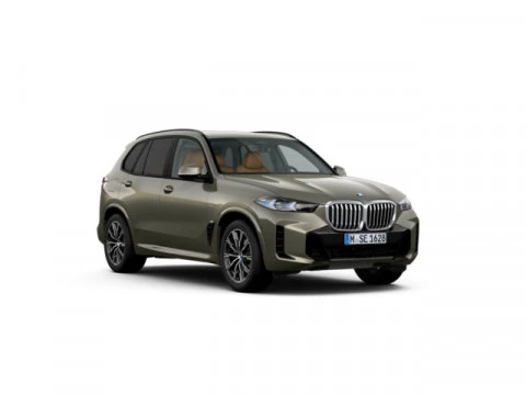 BMW X5 xDrive30d xLine 219 kW (298 CV)