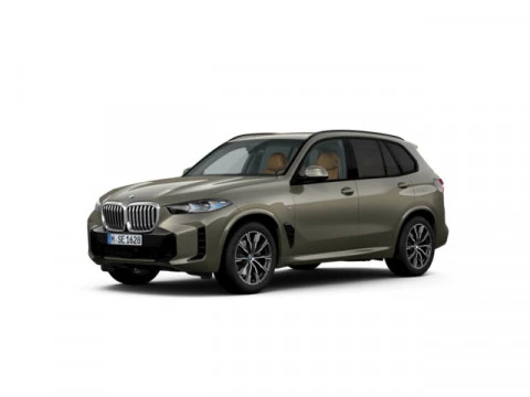BMW X5 xDrive30d xLine 219 kW (298 CV)