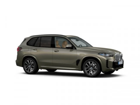 BMW X5 xDrive30d xLine 219 kW (298 CV)