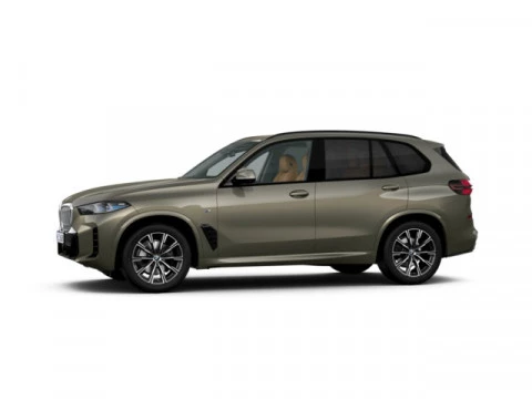BMW X5 xDrive30d xLine 219 kW (298 CV)