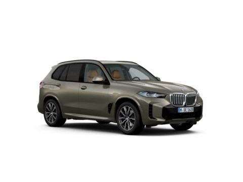 BMW X5 xDrive30d xLine 219 kW (298 CV)