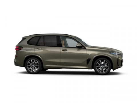 BMW X5 xDrive30d xLine 219 kW (298 CV)