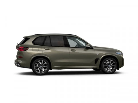 BMW X5 xDrive30d xLine 219 kW (298 CV)