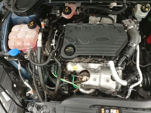 Ford Focus 1.5 Ecoblue 88kW Trend+ SB
