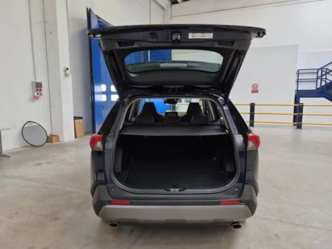 Toyota Rav4 2.5l 220H Advance 4WD