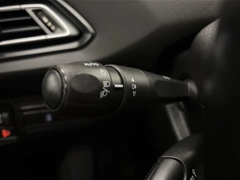 Peugeot 308 BlueHDi 100 SANDS Active 75 kW (100 CV)
