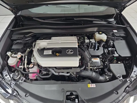 Lexus UX 2.0 250h Business
