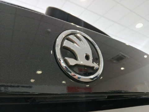 Skoda Fabia 1.2 TSI 66KW (90cv) Active