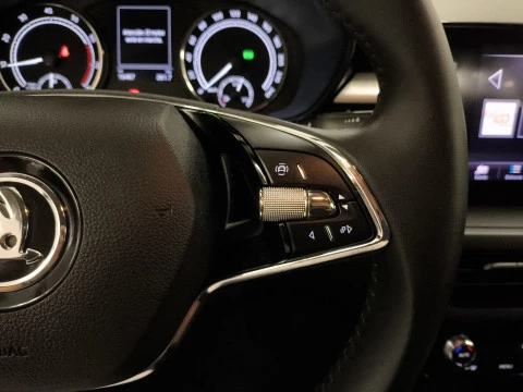 Skoda Fabia 1.0 TSI Ambition DSG 81 kW (110 CV)