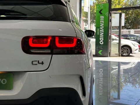 Citroën C4 Cactus 1.5 BlueHDi 96kW S&S feel 100