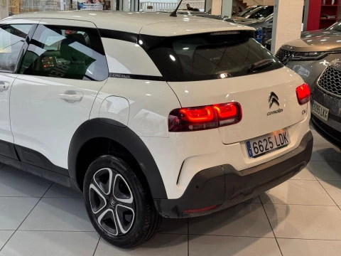 Citroën C4 Cactus 1.5 BlueHDi 96kW S&S feel 100