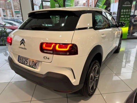 Citroën C4 Cactus 1.5 BlueHDi 96kW S&S feel 100