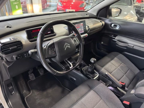 Citroën C4 Cactus 1.5 BlueHDi 96kW S&S feel 100