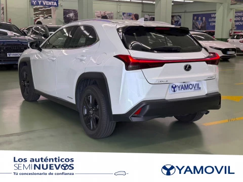 Lexus UX 250h Business 2WD 135 kW (184 CV)