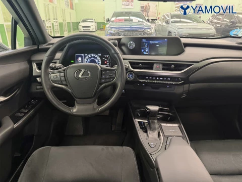 Lexus UX 250h Business 2WD 135 kW (184 CV)