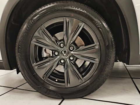 Lexus UX 250h Business 2WD 135 kW (184 CV)