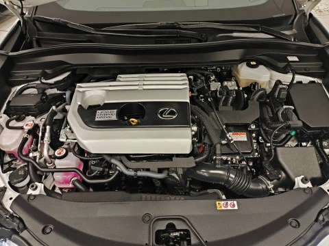 Lexus UX 250h Business 2WD 135 kW (184 CV)