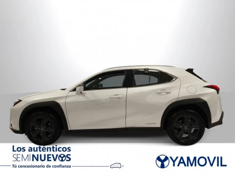 Lexus UX 250h Business 2WD 135 kW (184 CV)