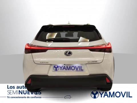 Lexus UX 250h Business 2WD 135 kW (184 CV)