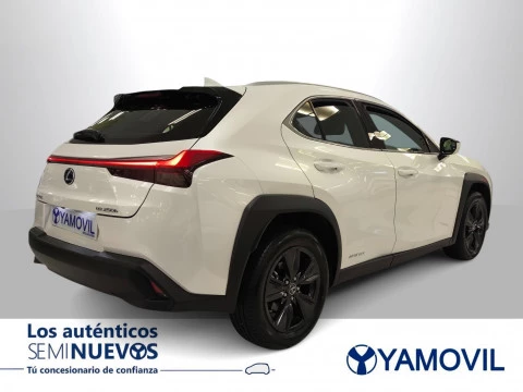 Lexus UX 250h Business 2WD 135 kW (184 CV)