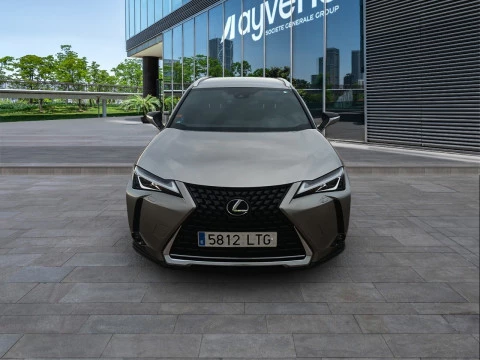 Lexus UX 2.0 250h Business