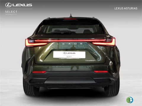 Lexus NX PREMIUM+
