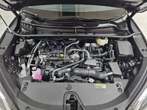 Lexus LBX 1.5 136cv HEV Elegant+ Black